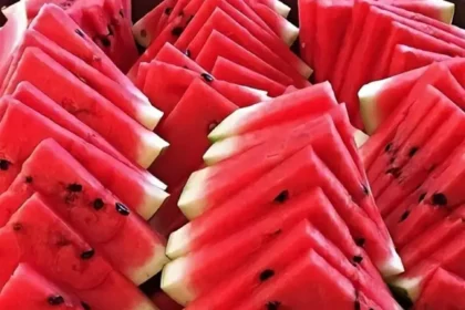 Web Feature Image (3)